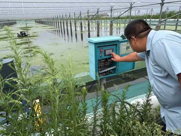 南京林业大学Eco-eight生态小队走访宜兴企业探寻光伏产业发展