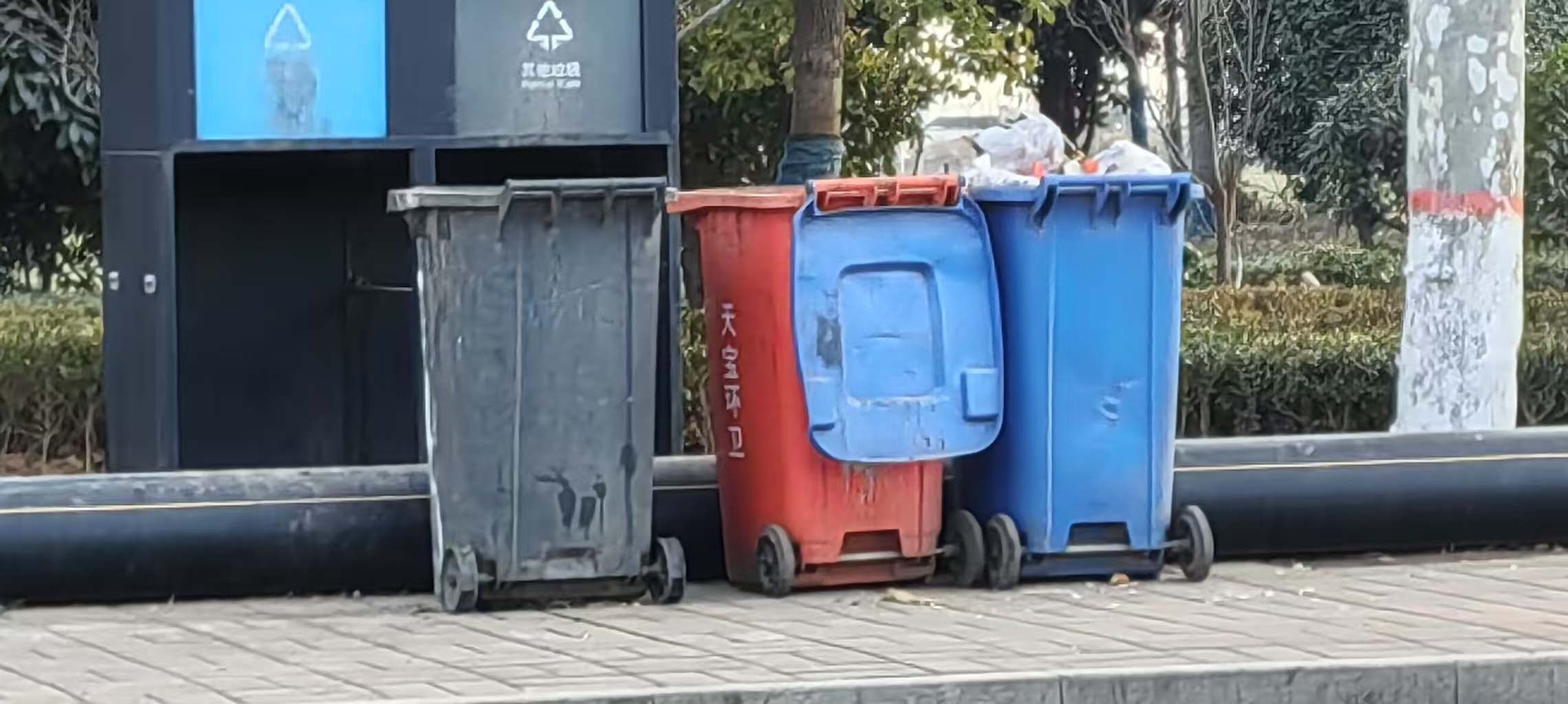 调查社区垃圾分类情况，以小行动撬动大环保