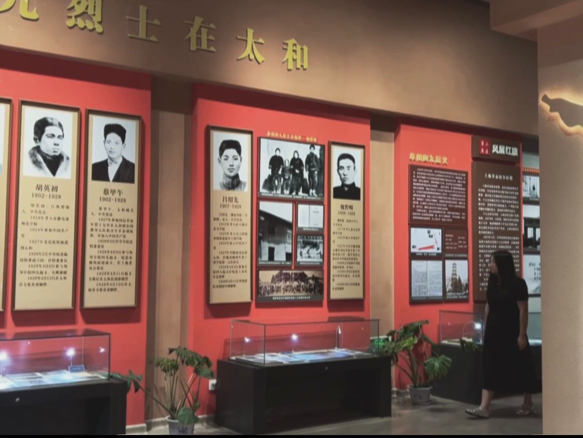 解码红色基因，勇毅阔步新程