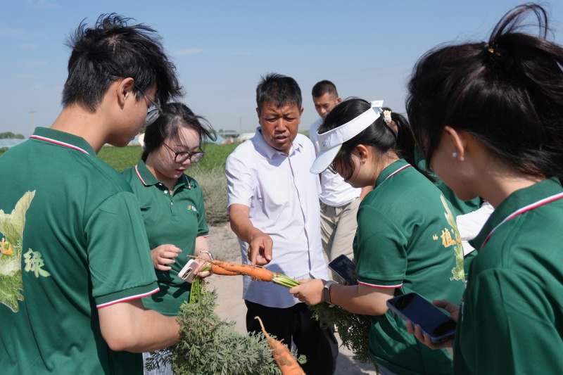 陕科大轻工学子三下乡：青春赋能绿农路 科技深耕沃野间