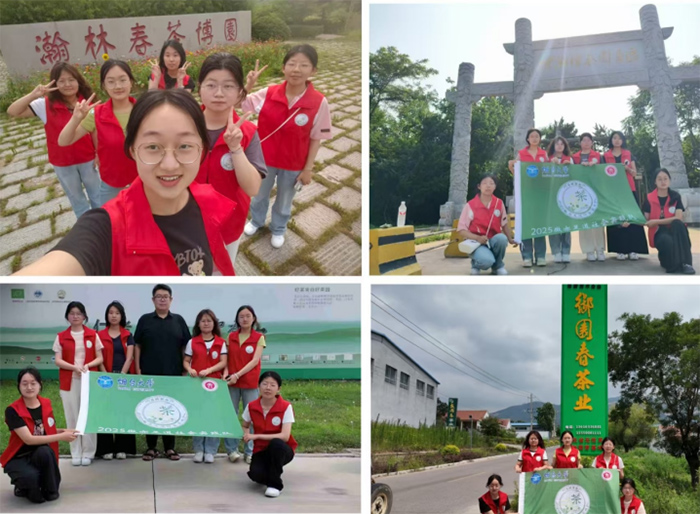 青春赋能乡村振兴：微亦足道团队日照绿茶探寻之旅