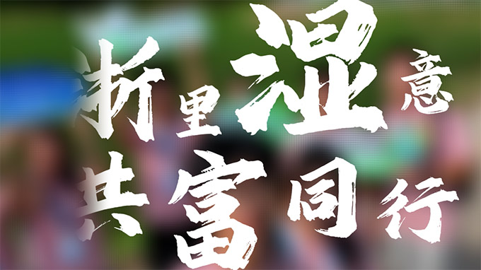 【浙里“湿”意】玉环漩门湾国家湿地公园丨沧海桑田绘青绿画卷，鹭栖民乐