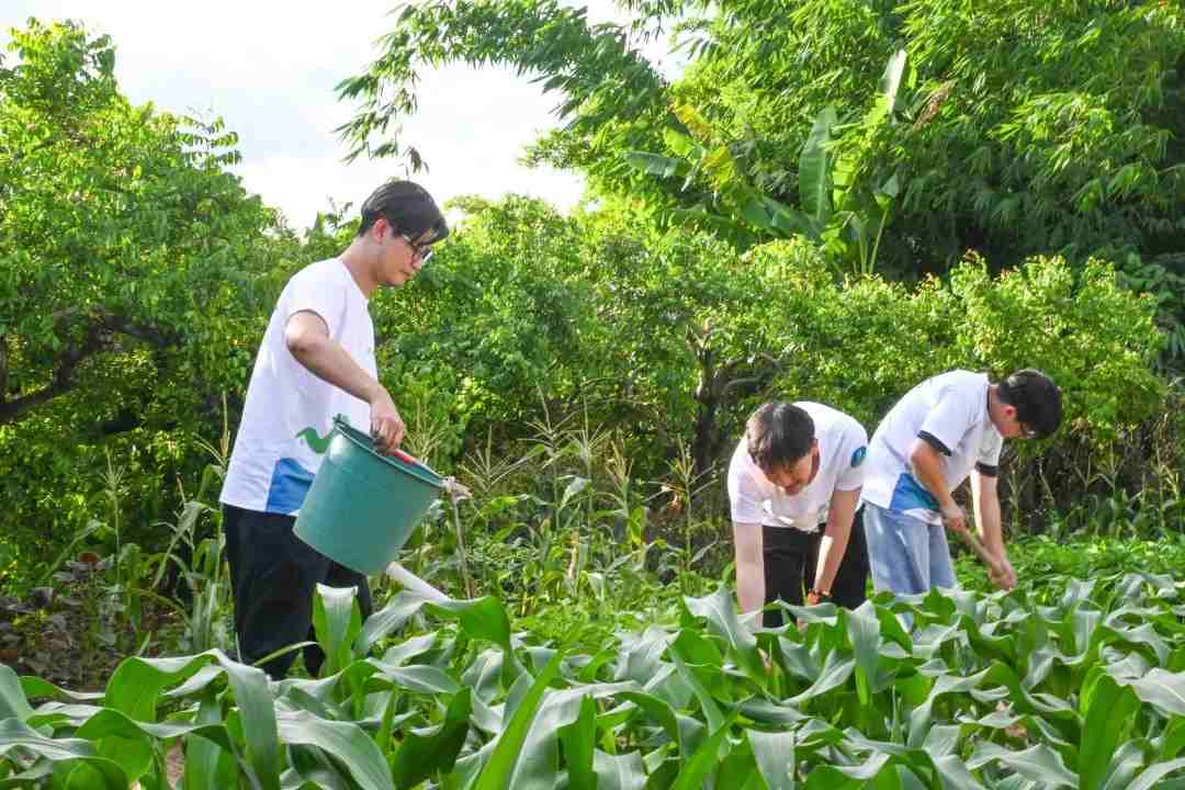 牛舞英韵特辑|潮采乡野间，振兴谱新篇