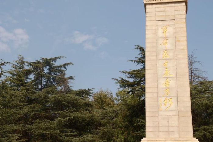 回溯红色征程，感悟使命担当