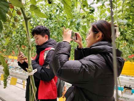 乡野聚青春，电商兴牛楼：一场双向奔赴的助农实践