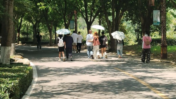 小橙故事实践队探访屈原故里 感悟千年文化魅力