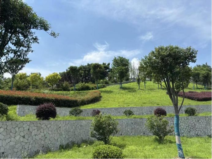 巢湖学院：探索生态修复与文化传承之路
