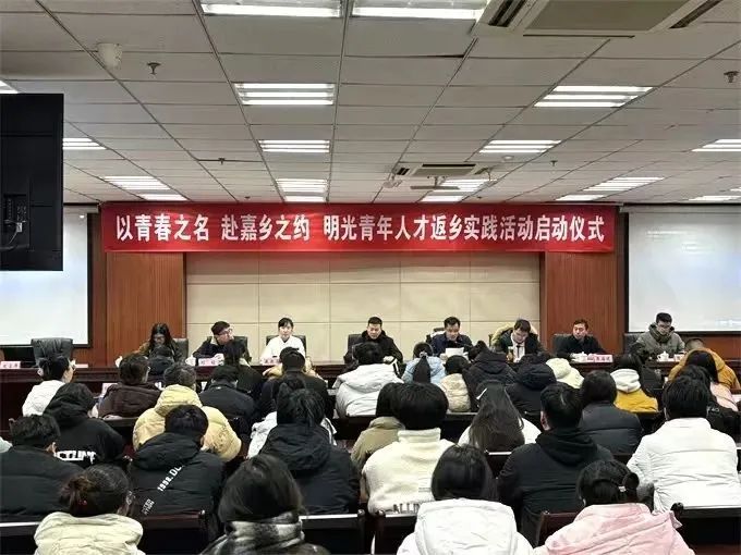 基层服务·材子实践行：以青春之名，赴家乡之约