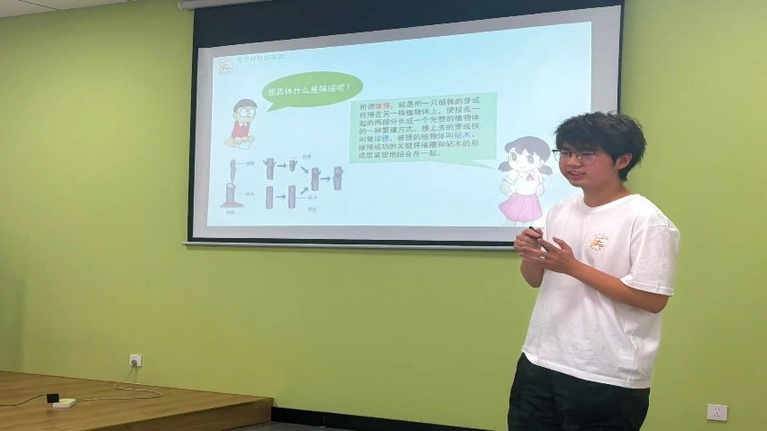 寓教于乐，教学相长