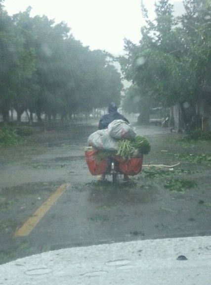 犀利哥，卖菜风吹雨打都不怕