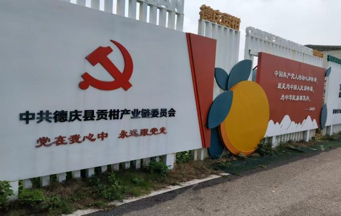 佛山大学“薪火之队”深入德庆官圩镇 调研贡柑产业助力“百千万工程”