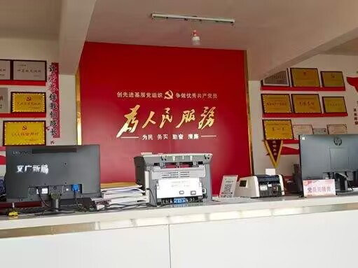 青春献力基层
