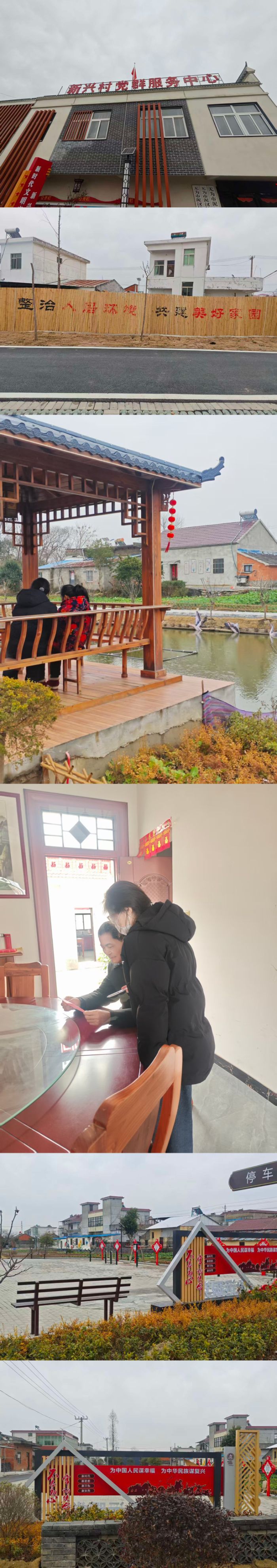 走进新兴村，感知乡情脉动