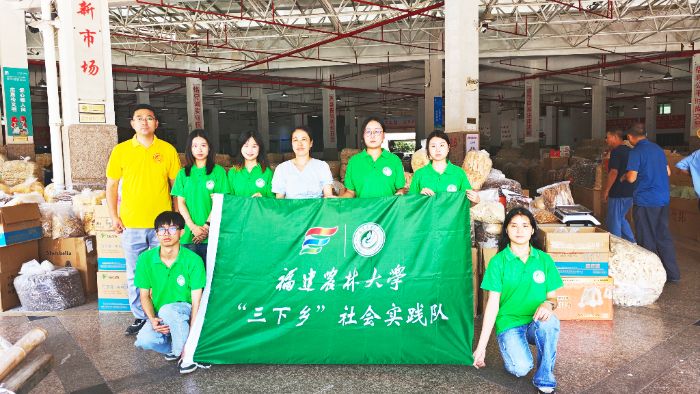 福建农林大学实践队深入古田调研，解码食用菌产业践行大食物观的生动实践
