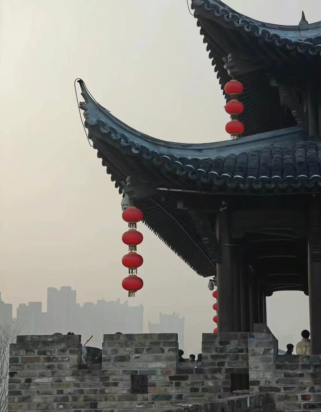 探寻乡村振兴之路：芜湖的多彩实践与丰硕成果