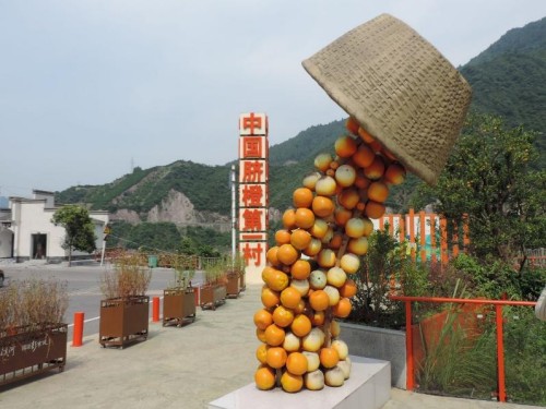  武汉东湖学院“小橙故事”实践队探访秭归脐橙第一村 解码智慧农业新实践