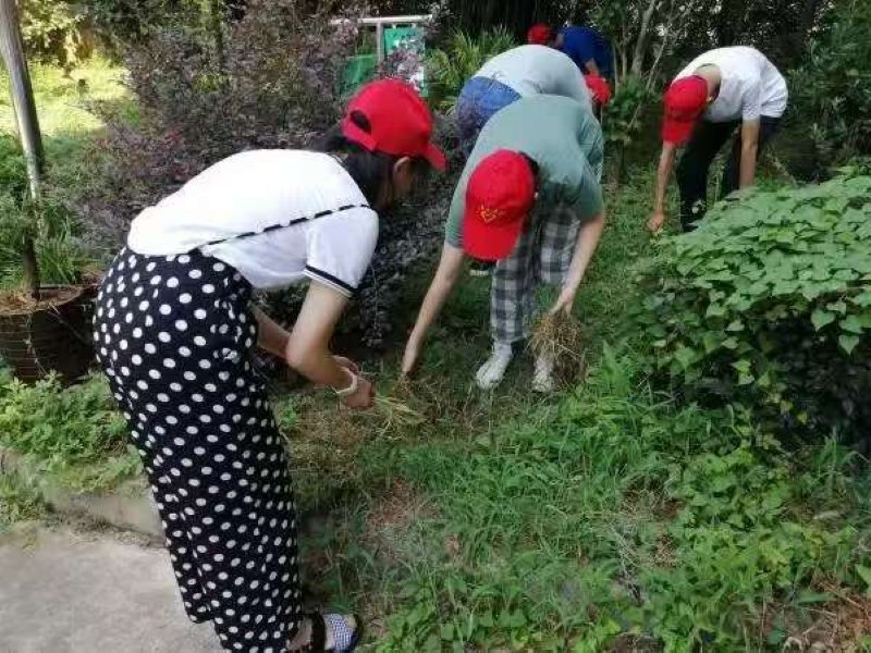 豫北医学院“心连心共护家园”实践队：炎炎夏日送清凉，环保行动展风采