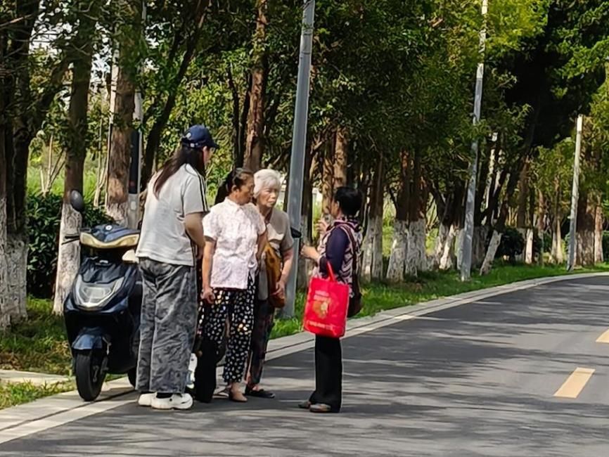 下乡研土地根脉，萤火助乡村振兴