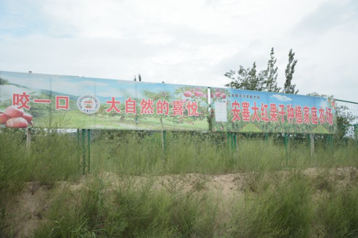 数字人直播助力破解农产品销售困局——大学生实践团队走访延安致富带头人纪实