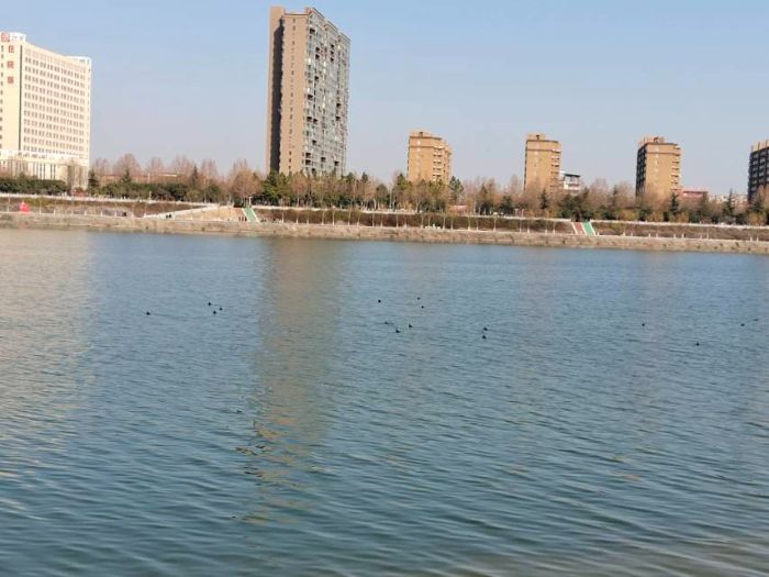 乡村振兴背景下内乡县乡村发展调研与优化研究