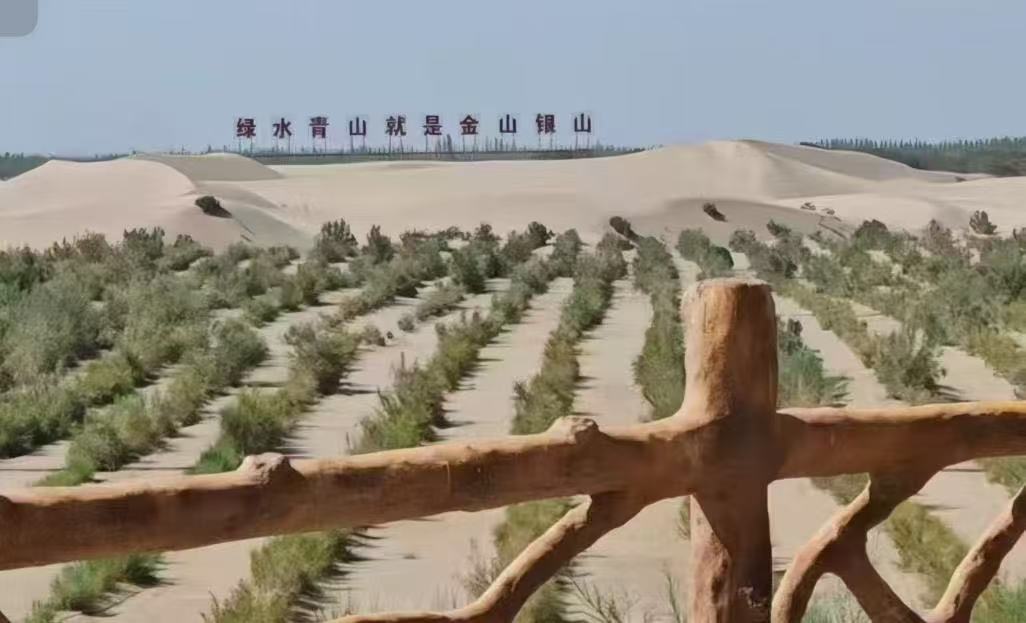 青春聚力沙海织绿：生命科学与技术学院暑期三下乡实践团探秘麦盖提“生态－民生”协同发展之路 芯生命·沙海织绿·生态共谋 生态实践团